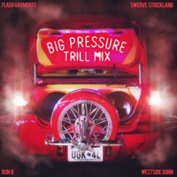 BIG PRESSURE TRILL MIX (feat. Bun B & Westside Gunn) - Single - Flash Garments, Sw3rve The Realest & DJ Whoo Kid