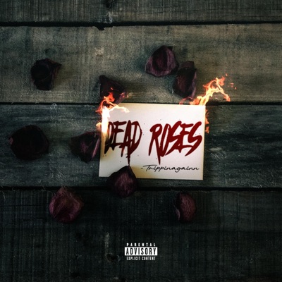 Dead Roses - Single
