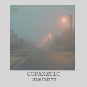 Dream State Pt. 2