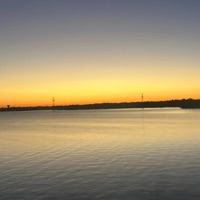 too bad - Single - dayvo