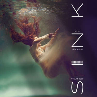 S.I.N.K - Single