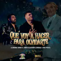 Qué Voy A Hacer Para Olvidarte — La Original Banda El Limón de Salvador Lizárraga & Max Peraza