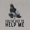 You've Got to Help Me