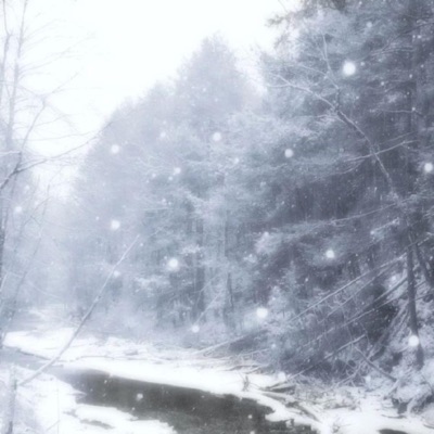 winter - Single