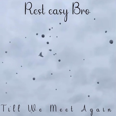 Untill we meet again - Single