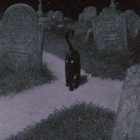 evil morty - Single - Xemba