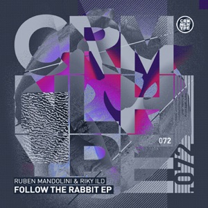 Follow The Rabbit - Single