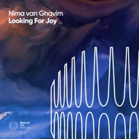 Looking for Joy - Single - Nima van Ghavim