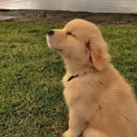 love of life (no lyrics) - Single - OGMaTrizz