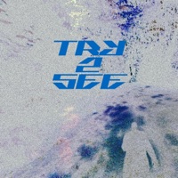 Try 2 See - Single - Mang