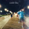 Metaphorical Ohio