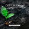 Accents (Valth Remix) - CKB lyrics