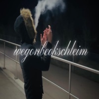 wegonbeokschleim - Single - shineboi & Distant