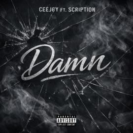 Damn (feat. Scription) Ceej6y