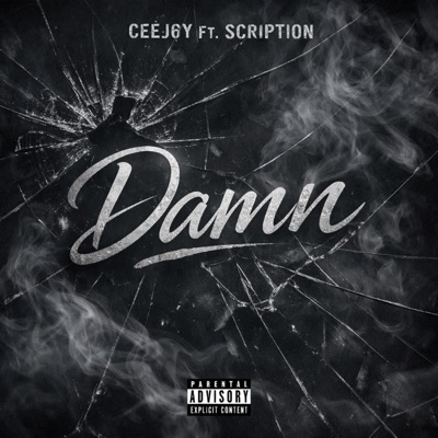Damn (feat. Scription) - Single