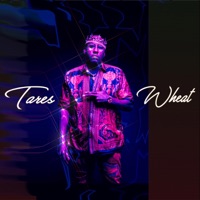 Tares & Wheat - Single - King Prince