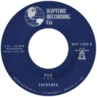 Dilo — Cochemea