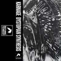 Dystopian Synthesis - Karnage