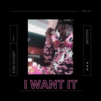 I Want It Beat - Single - BRAYD0