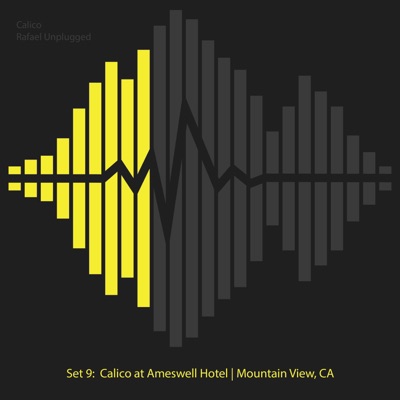 Set 9: Calico at Ameswell Hotel  Mountain View, Ca (Acoustic) - Single