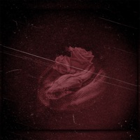 Noi Insieme - Single - Cole Kooper