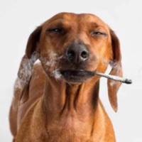 business - Single - JiFuji