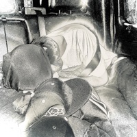 Wolve - Single - Milkreset