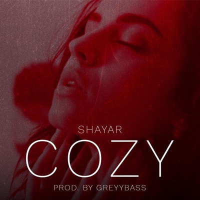 COZY (feat. Greyybass) - Single