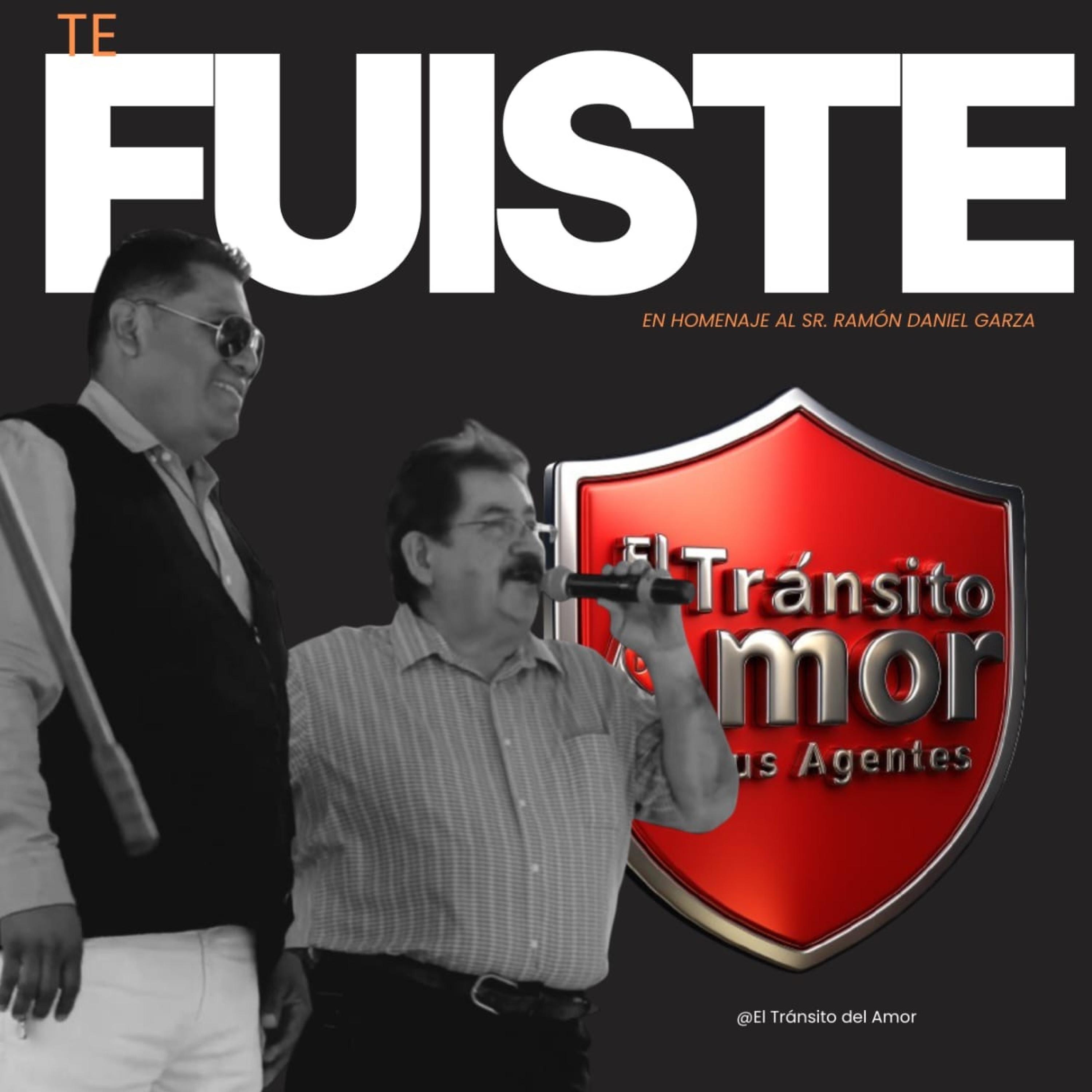 Te Fuiste - Single