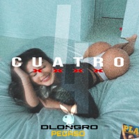 4X (feat. Pegaso La Eminencia) - Single - DLONGRO