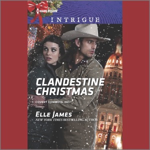 Clandestine Christmas