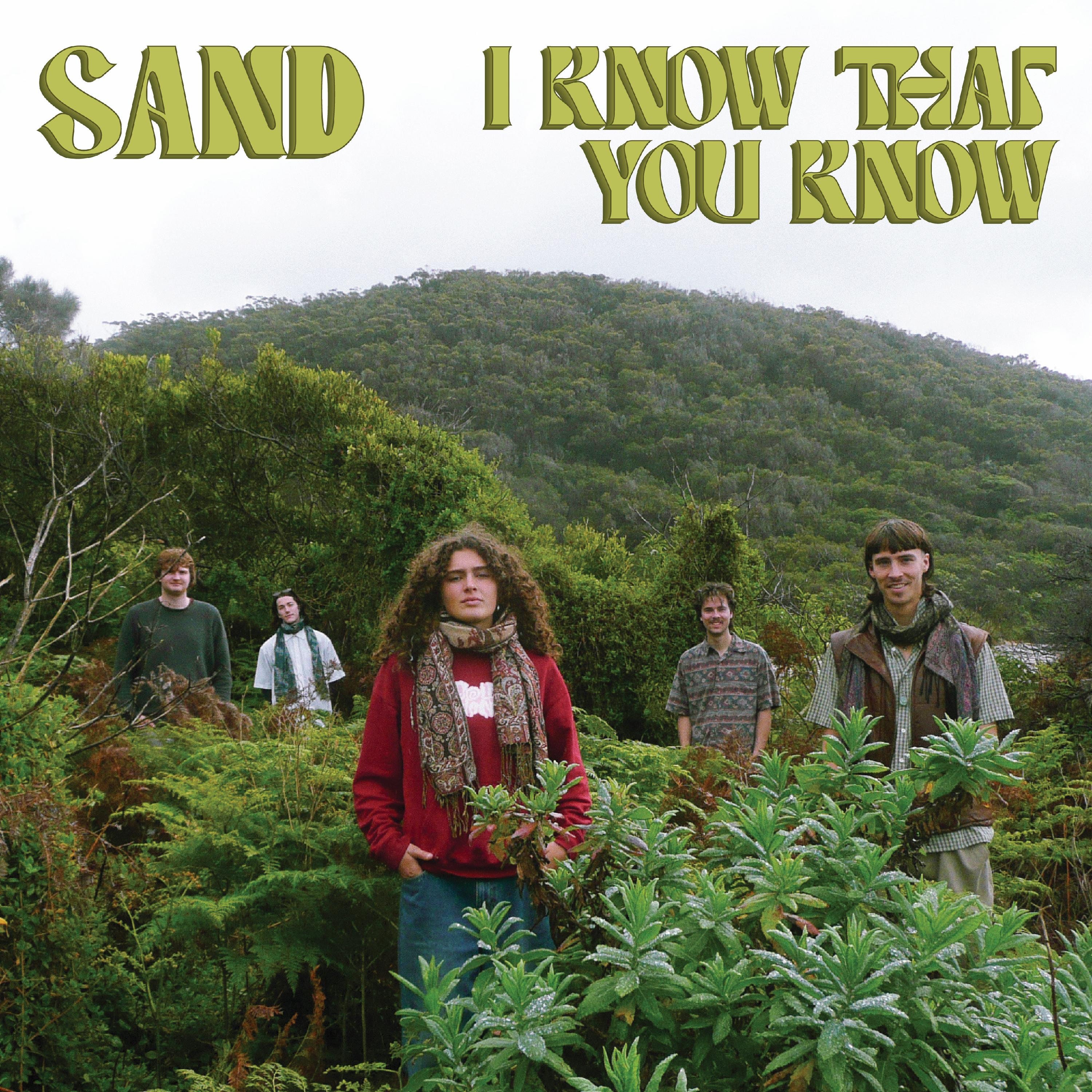 I Know That You Know - Single