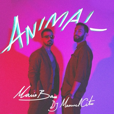 Animal - Single