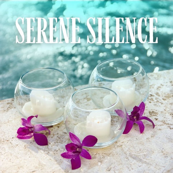 Serene Silence: Calming Spa Music