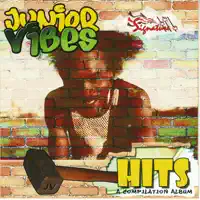 When Will I See You Again — Junior Vibes