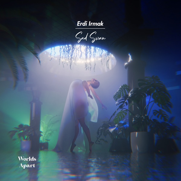 Sad Swan - Single