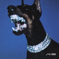 Who Shot you - Single - Iamloskii