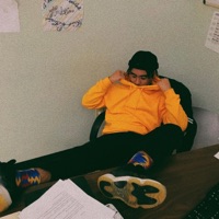 golden calfs - Single - Rob Nor