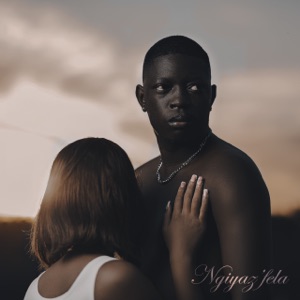 Ngiyaz'fela (feat. Nation-365 & Tasha Cubes)