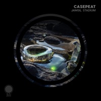 Jamsil Stadium (Extended Mix) - Single - Casepeat