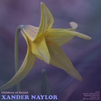 Children of Sound (feat. Samir Chatterjee, Raphaël Pannier & Utsav Lal) - Single - Xander Naylor