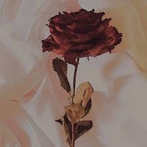 forget you - Single