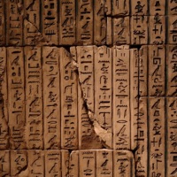 we are not alone - Single - SCREWBOY