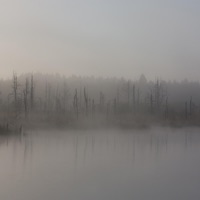 In a Day - Single - BigMikeLabLife