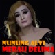 Merah Delima Single