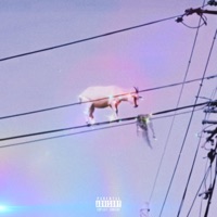 I Can't Feel My Heart - DJ Spinz & Johnny Apollo