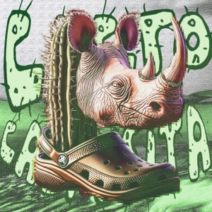 CACTO CACTUSITA FUNK