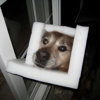 CROSS BREEZE APNEA - Quantum Rexx