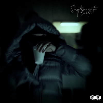 Sentimiento Flaite - Single
