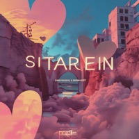 Sitarein (feat. Biswajeet) - Single - Swayanshu